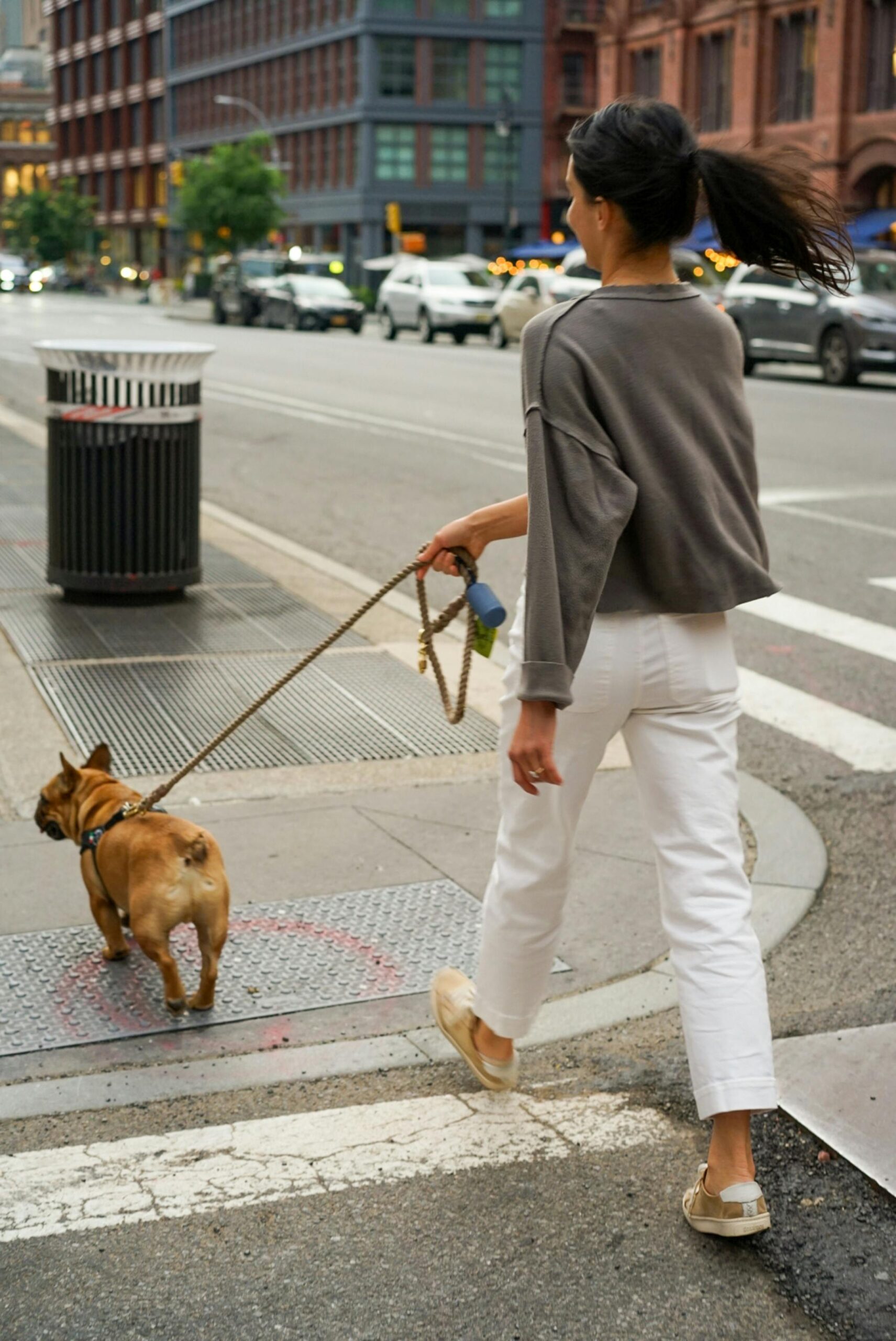 Leash Training Your Rescue Dog